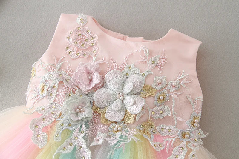 Baby Appliques Formal Princess Dresses for Girl Rainbow Tulle Birthday Party Dress Infant Girl Dress Baby Clothes 3-24M