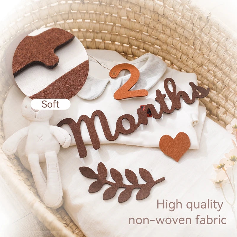 Felt Digit Baby Month Milestone Card Newborn Photography Prop Milestone Memorial Monthly Baby Souvenir Newborn Photo Accessories