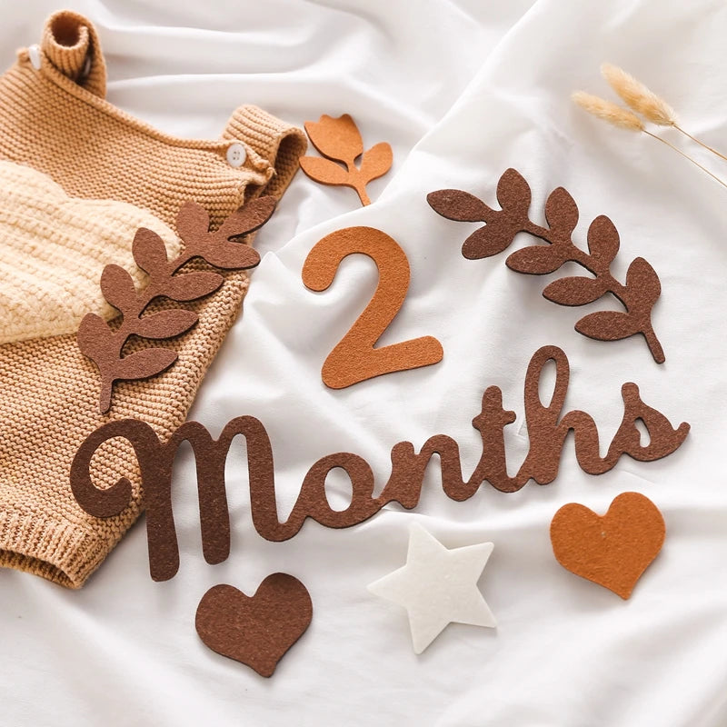 0-10 Digital Milestones Newborn Baby Milestone Wool Felt Digital Milestone Card Baby Newborn Photo Accessories Photography Gifts