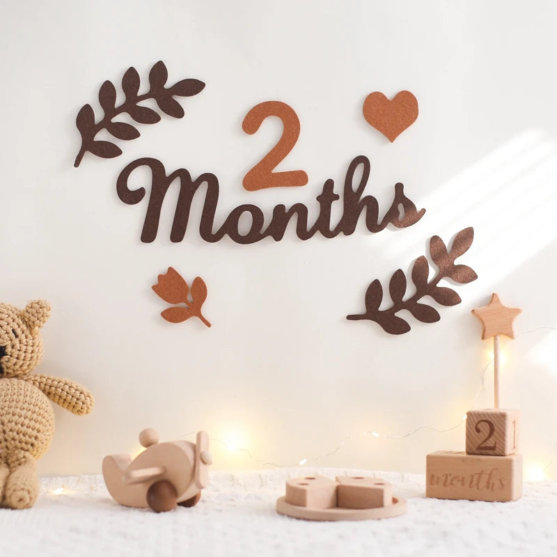 Felt 0 12 month Newborn Photography Props Milestone Newborn Accessories Photography Shooting Prop Baby Room Decorate Accessories